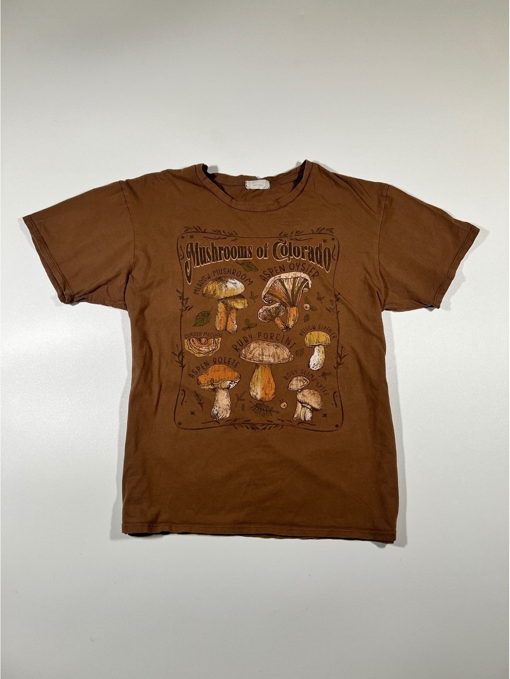Mushrooms of Colorado T-Shirt Mens L Brown Mycology Nature Illustrated Tee